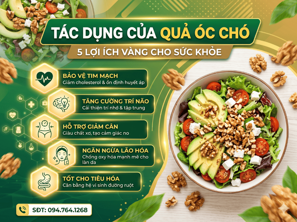 Tac dung cua qua oc cho