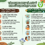 Những tác dụng phụ của hạt lanh là gì?
