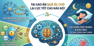 Tại sao ăn quả óc chó lại cực tốt cho não? Giải mã lợi ích bất ngờ! Tai sao an qua oc cho lai tot cho nao bo