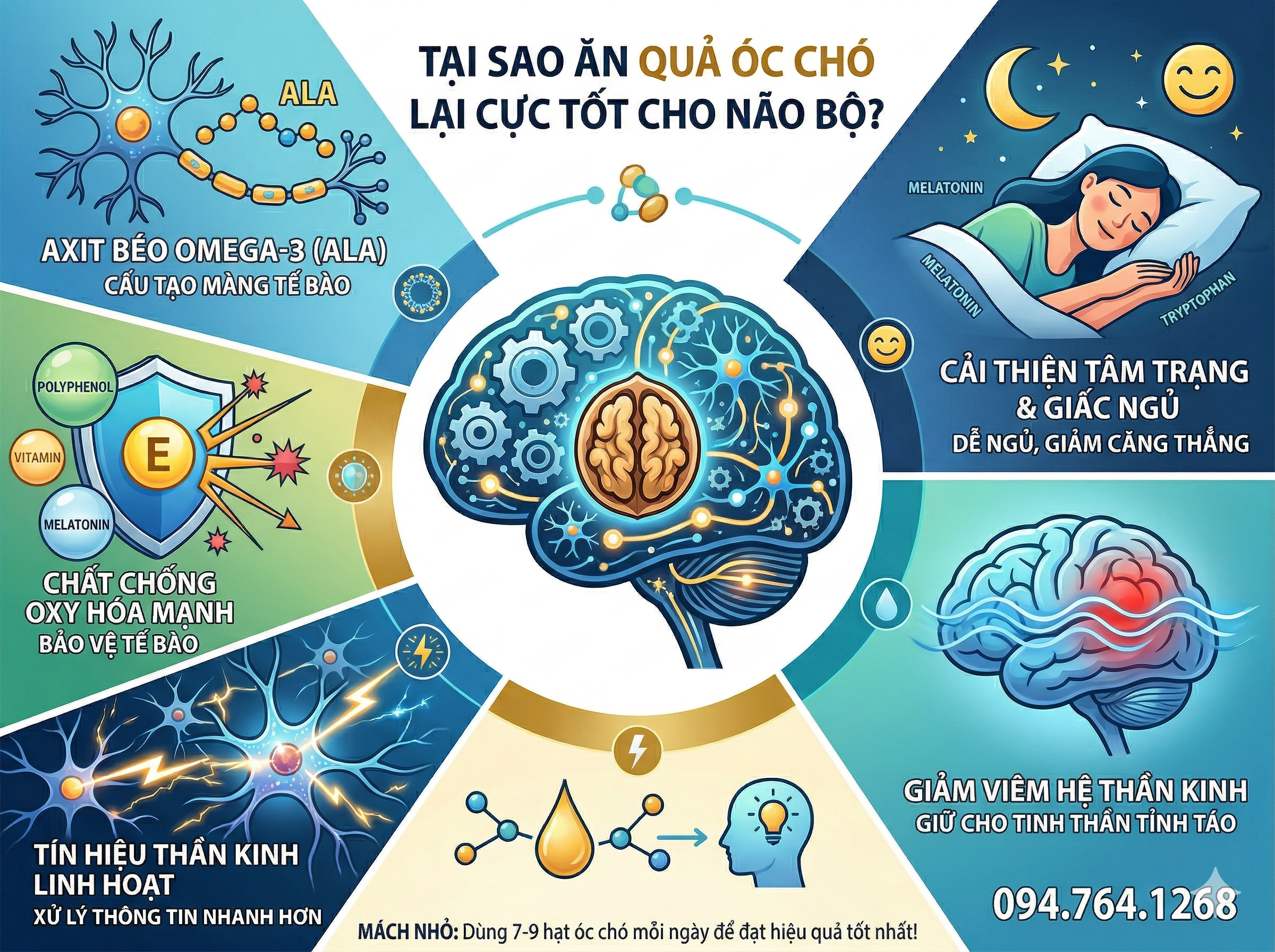 Tai sao an qua oc cho lai tot cho nao bo