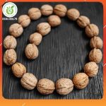 cong-dung-cua-qua-oc-cho-my