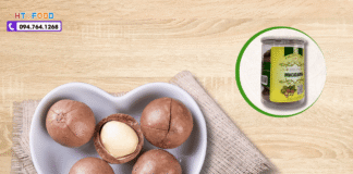 Cửa hàng bán hạt mắc ca tại Tphcm uy tín? Hạt mắc ca Việt Nam cua hang ban hat mac ca tai tphcm