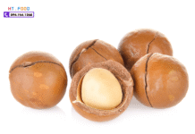 Địa chỉ bán hạt macca Đắk Lắk uy tín dia chi ban hat macca dak lak