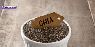 Địa chỉ mua hạt chia uy tín ở Hà Nội chất lượng tốt!