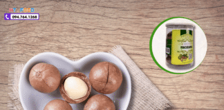 Địa chỉ mua hạt macca ở đâu tại TPHCM? – Mua hạt macca uy tín dia chi mua hat macca tphcm