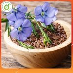 hat-lanh-lam-tang-vong-1