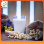 hat-mac-ca-giup-giam-beo