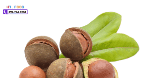 Hạt mắc ca là gì? thành phần dinh dưỡng & cách dùng hạt macca! hat mac ca la gi