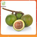 hat-macadamia-ban-o-dau