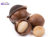 Hạt macca Đắk Lắk chính gốc – mua tại cửa hàng uy tín Hà Nội hat macca daklak ban tai ha noi