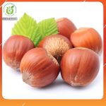 hat phi co tac dung gi