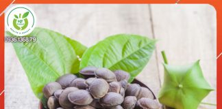 Hạt Sacha inchi Sacha inchi là hạt gì?