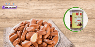 Mua hạt thông ở đâu tại Cần Thơ tốt nhất hiện nay? Chọn đúng nơi hat thong mua o dau can tho