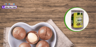 Mua hạt mắc ca ở đâu tại Hà Nội? Chất lượng & giá tốt nhất mua hat mac ca o dau ha noi