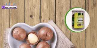 Mua hạt macca ở đâu Tphcm ngon và đảm bảo chất lượng? mua hat mac ca o dau tphcm