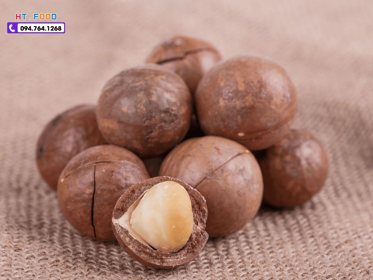 mua hat macca o dau uy tin