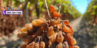 Mua nho khô nguyên cành ở đâu uy tín, chuẩn chất lượng nhập? mua nho kho nguyen canh o dau