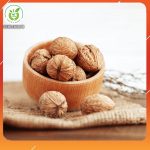 qua-oc-cho-giup-tang-kha-nang-lam-cha