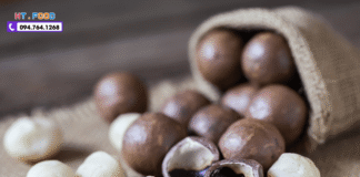 Tác dụng của hạt macca là gì? “nữ hoàng của các loại hạt”