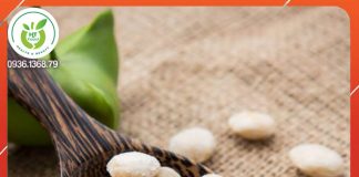 Tác dụng của hạt sachi với mẹ bầu và trẻ nhỏ Tác dụng của hạt sachi với mẹ bầu và trẻ nhỏ