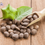 Tác dụng của hạt sachi đối với mẹ bầu và trẻ nhỏ: Có nên dùng? tac dung cua hat sachi voi tre nho