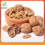 tac-dung-cua-qua-oc-cho-my